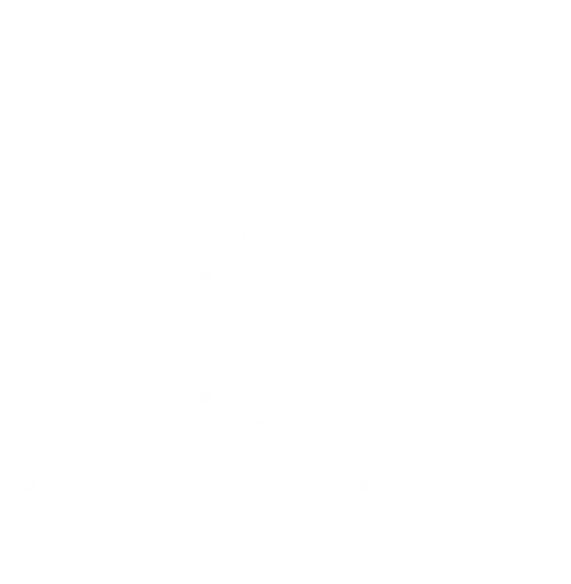 TripAdvisor TripAdvisor